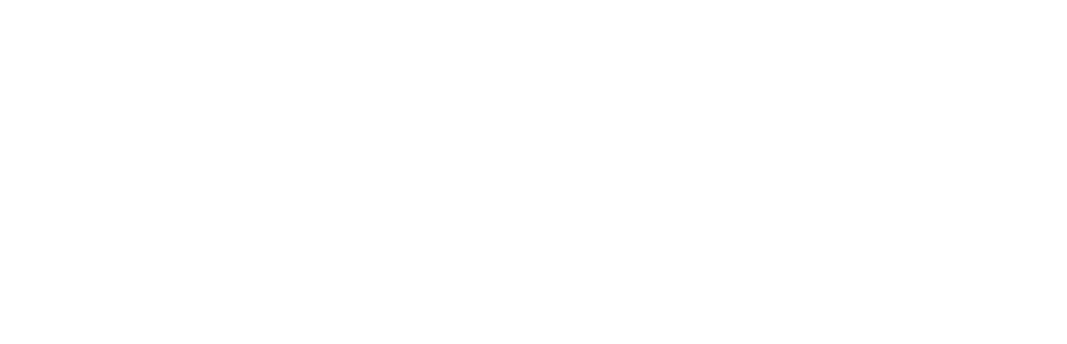 Ivoniz — website design and development